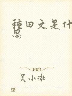 种田文是什么意思