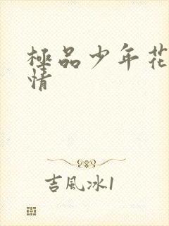 极品少年花都燃情