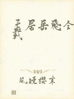 柔居岳飞全传下载