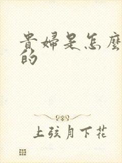 贵妇是怎么炼成的