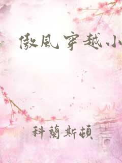傲风穿越小说吧
