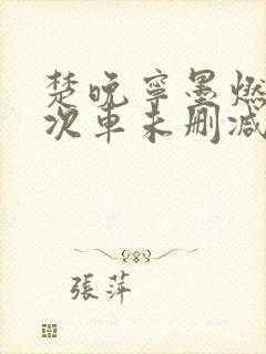 楚晚宁墨燃第一次车未删减