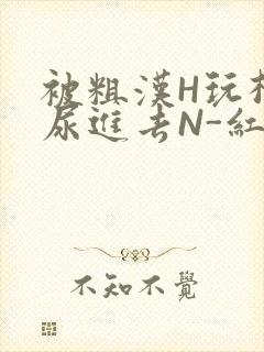 被粗汉H玩松了尿进去N-红-Q