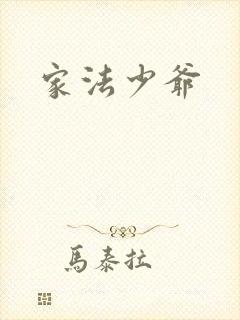 家法少爷