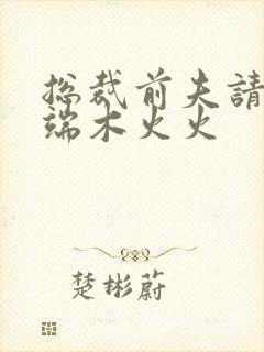 总裁前夫请自重端木火火