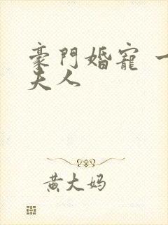 豪门婚宠 一品夫人