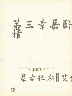 第三章岳卧室激情