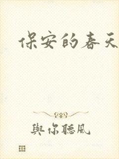 保安的春天