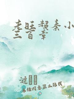 老旺超秦小雨第三百章