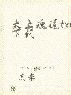 太上魂道txt下载