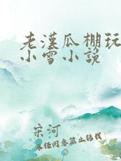 老汉瓜棚玩小丹小雪小说