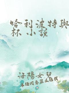 哈利波特与火焰杯 小说