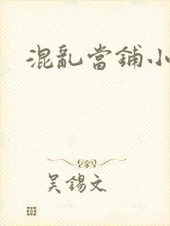 混乱当铺小说