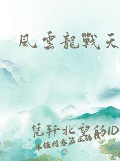 风云龙战天下
