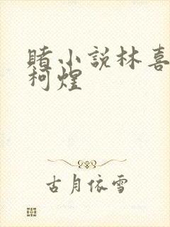 赌小说林喜朝和柯煜