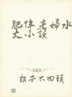 肥伴老妇水多乳大小说