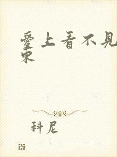 爱上看不见的房东