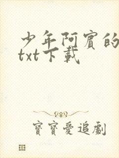 少年阿宾的故事txt下载