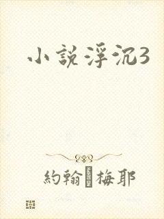 小说浮沉3