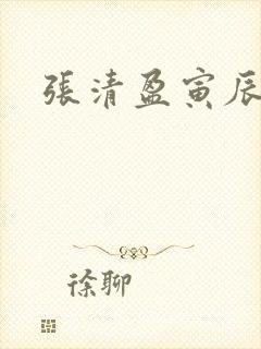 张清盈寅辰小说