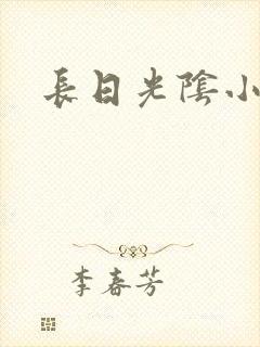 长日光阴小说