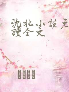 沈北小说免费阅读全文