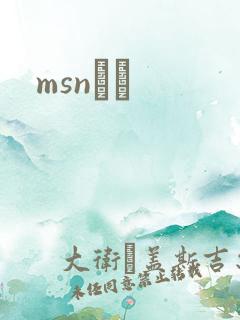 msnС˵