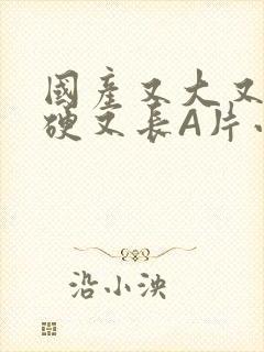 国产又大又粗又硬又长A片小说