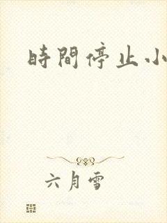 时间停止小说