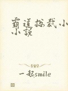 霸道总裁小娇妻小说