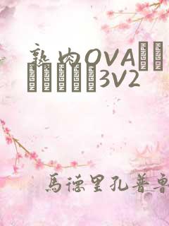 熟肉OVAちゃんはしたい3V2