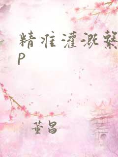 精准灌溉系统hp