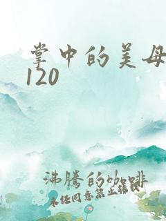 掌中的美母版主120