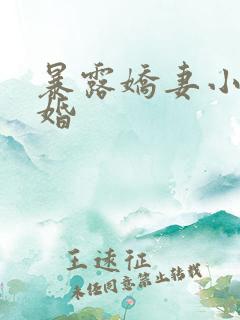 暴露娇妻小月新婚