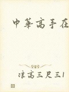 中华高手在异世