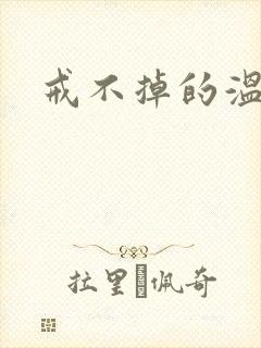 戒不掉的温柔
