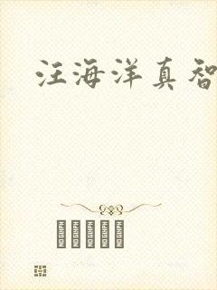 汪海洋真智师太