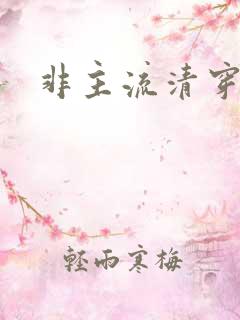 非主流清穿