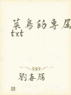 菜鸟的专属大神txt