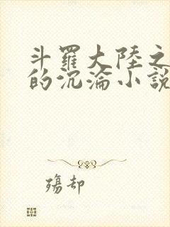 斗罗大陆之众女的沉沦小说