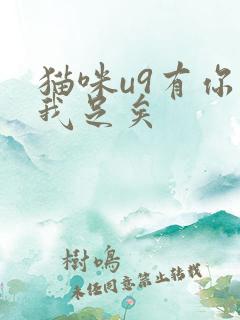 猫咪u9有你有我足矣
