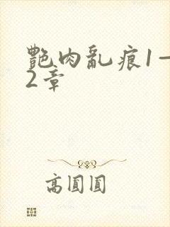 艳肉乱痕1—12章