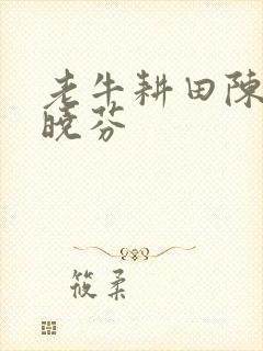 老牛耕田陈雪杨晓芬