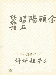 楚昭阳顾念在冰箱上