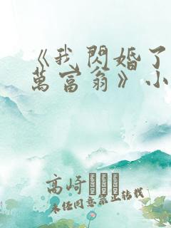 《我闪婚了个亿万富翁》小说