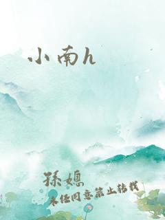 小南h