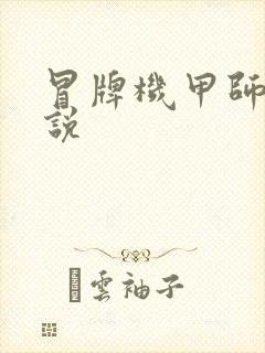 冒牌机甲师 小说