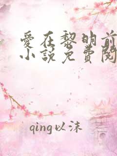 爱在黎明前降落小说免费阅读