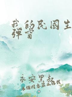 我的民国生涯无弹窗