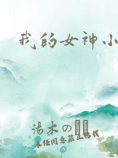 我的女神小说